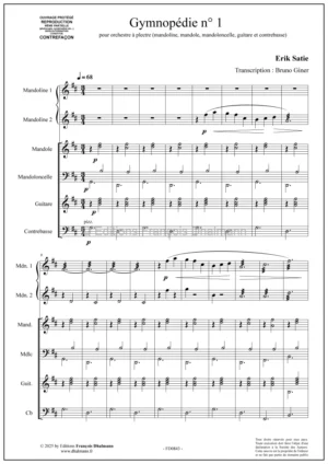 Gymnopédie N°1 – Erik Satie – Pour orchestre à plectre.