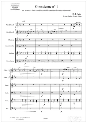 Gnossienne N°1 – Erik Satie – Pour orchestre à plectre